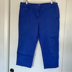 Ann Taylor LOFT original crop - EUC